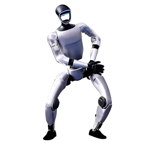Humanoid AI Smart Service Robot Companion Assistant