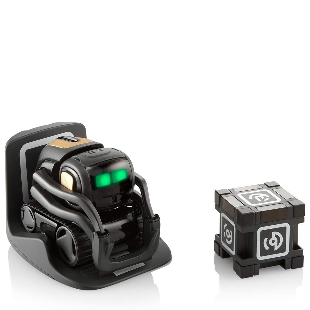 AI Robot Companion with ChatGPT Face Recognition Autonomous Navigation