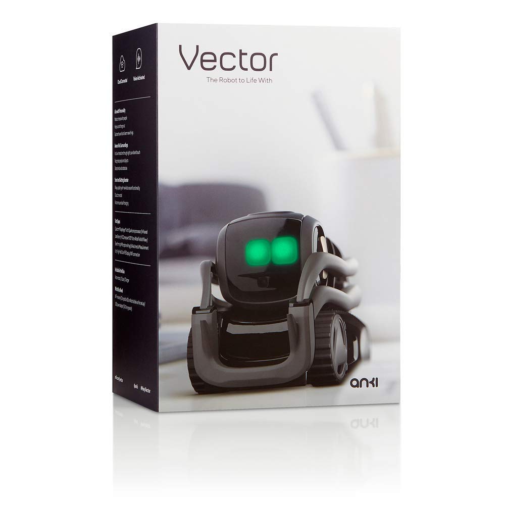 AI Robot Companion with ChatGPT Face Recognition Autonomous Navigation