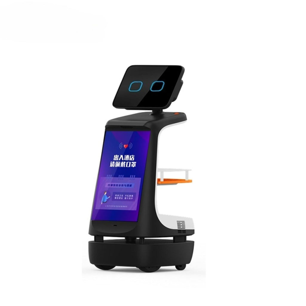 Commercial Greeter Robot Intelligent AI Voice Control