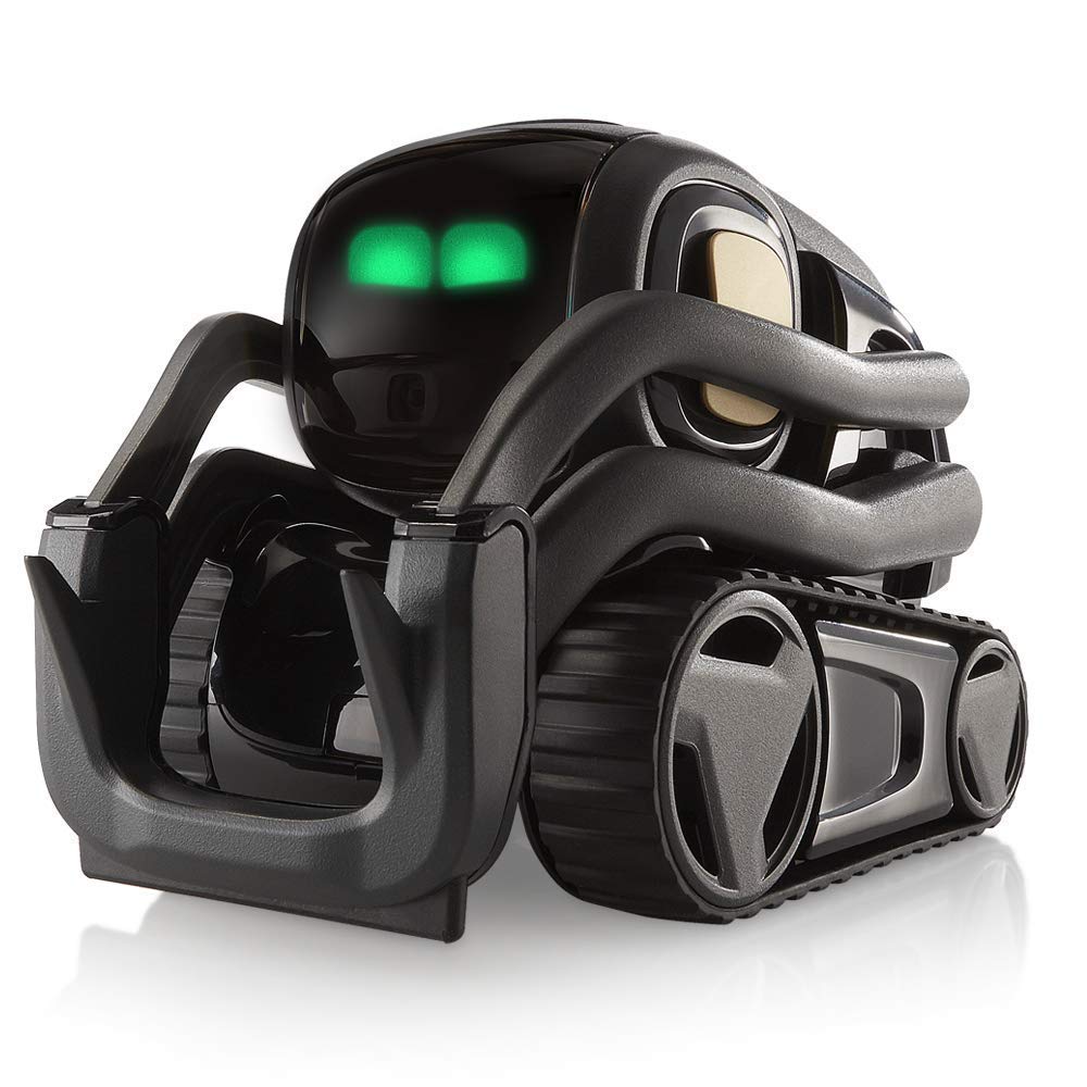 AI Robot Companion with ChatGPT Face Recognition Autonomous Navigation