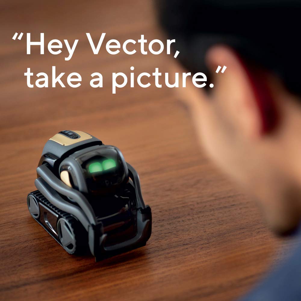 AI Robot Companion with ChatGPT Face Recognition Autonomous Navigation