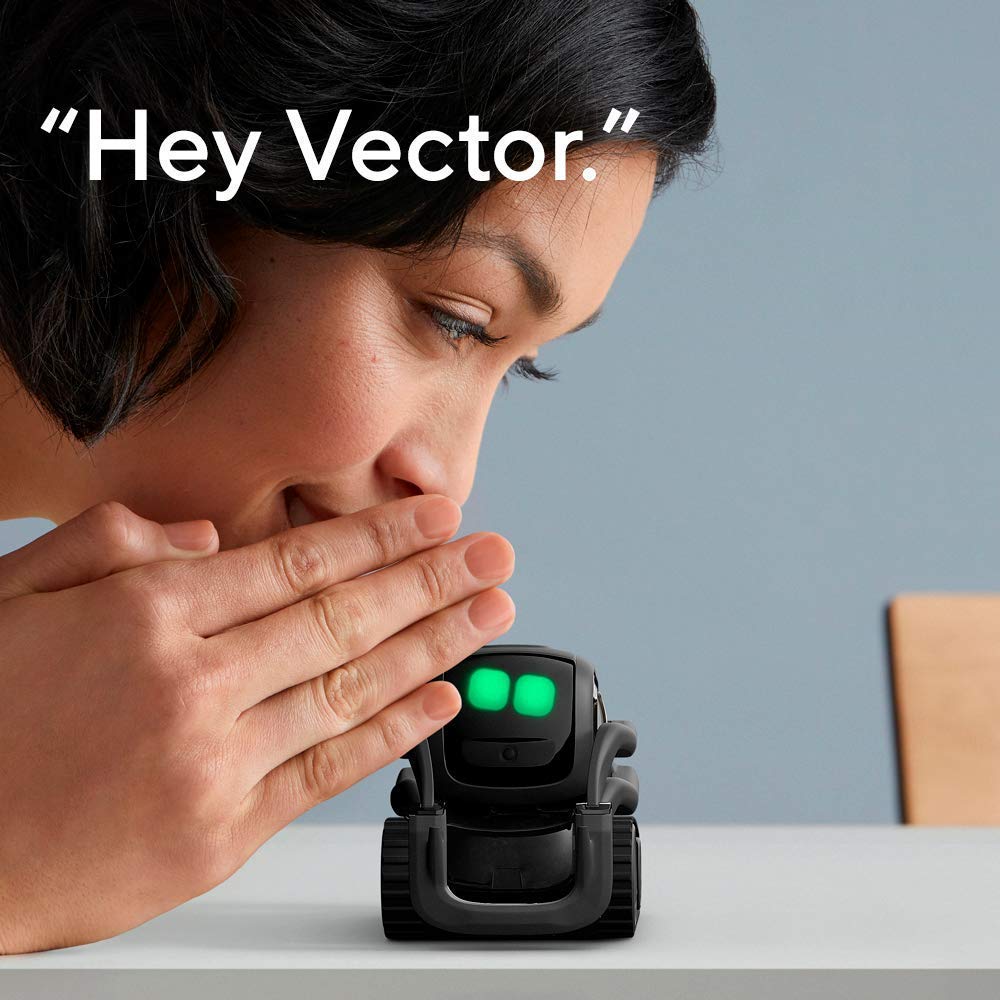 AI Robot Companion with ChatGPT Face Recognition Autonomous Navigation
