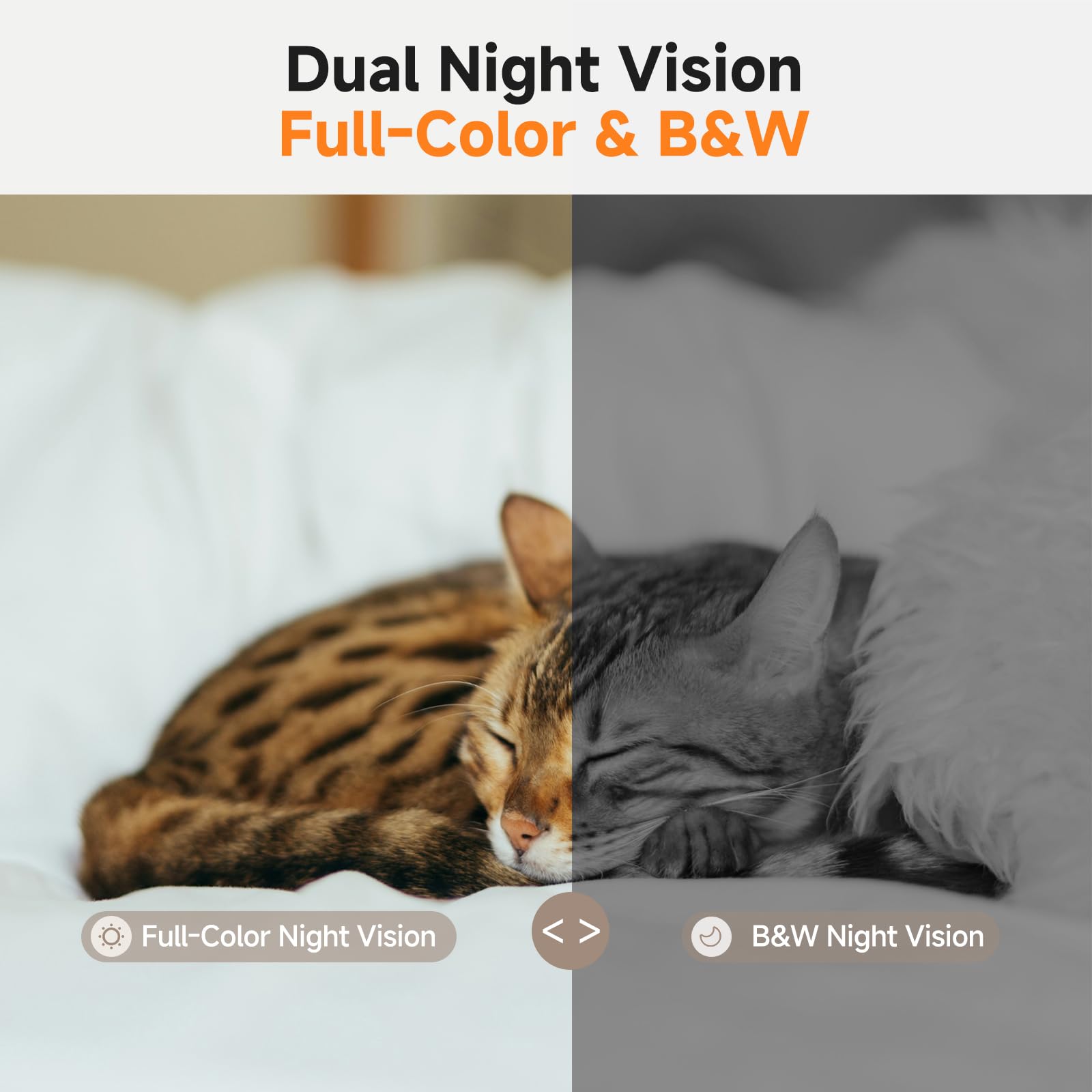 PICKFUN A3 KI Haustier-Begleiter Roboter mit 2K Kamera