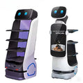 Commercial Food Delivery Robot with Voice AI