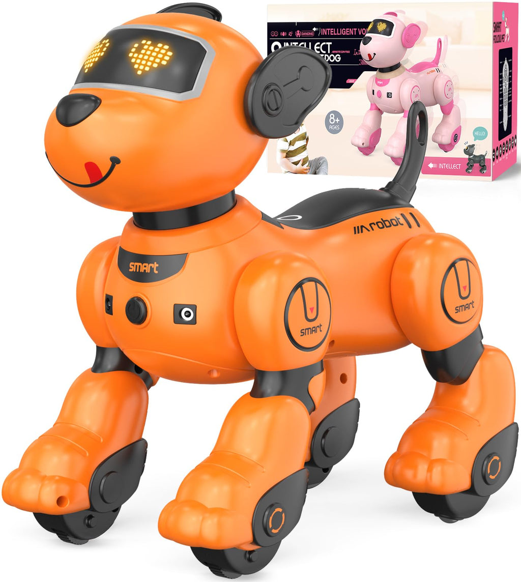 Anysun Programmerbar Fjärrstyrd Robot Hund för Barn
