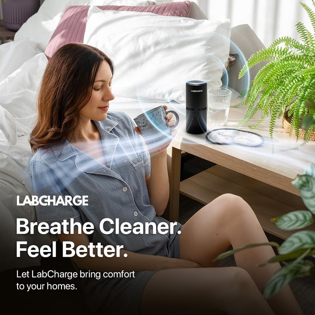 Kleiner Ionischer Luftreiniger für das Schlafzimmer, Leises HEPA-Modell