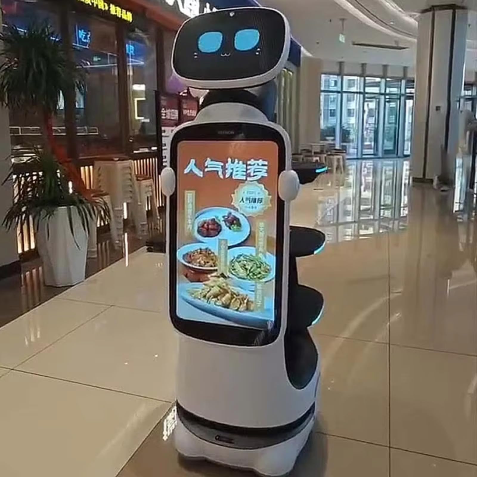 Commercial Food Delivery Robot with Voice AI
