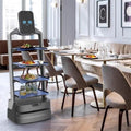 Self-Driving Pallet & Food Delivery Robot