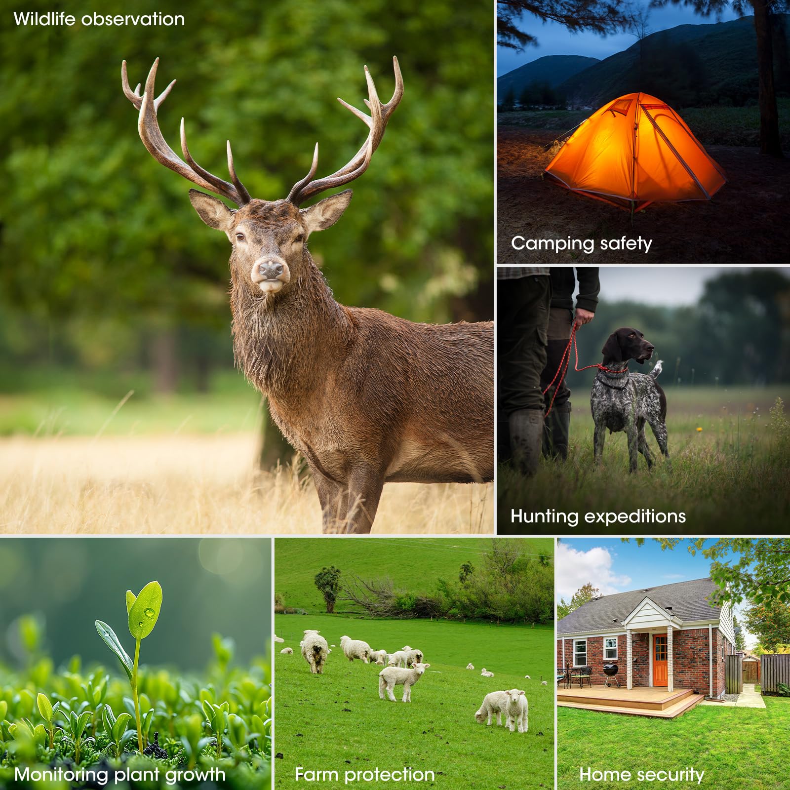 4K 64MP Солнечная камера для наблюдения за дикой природой