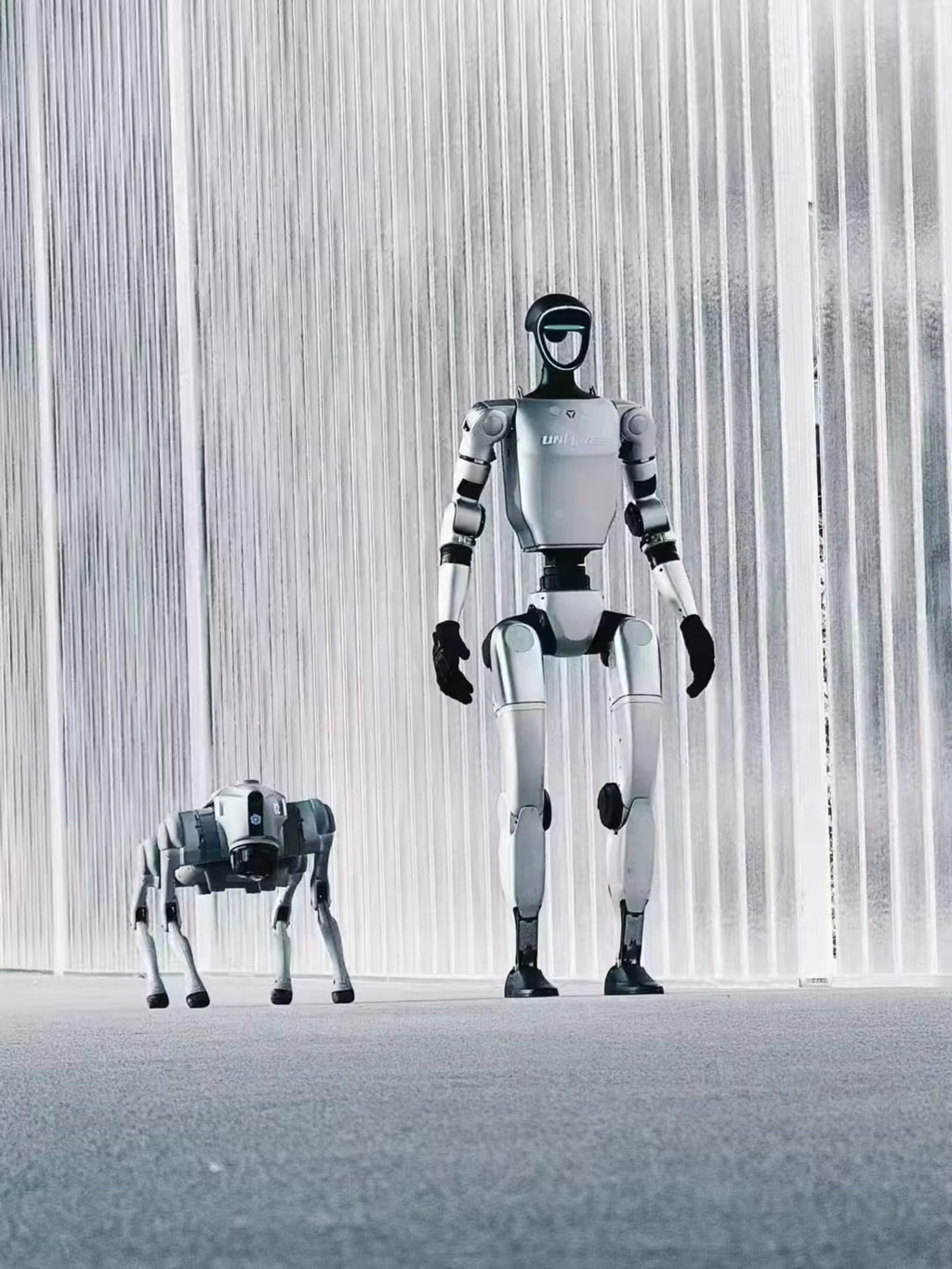 Advanced Humanoid Robot, AI Service Robot with Voice Interaction, Human-Like Motion Control, Smart Vision System for Reception, Education, Healthcare, Retail, Exhibition