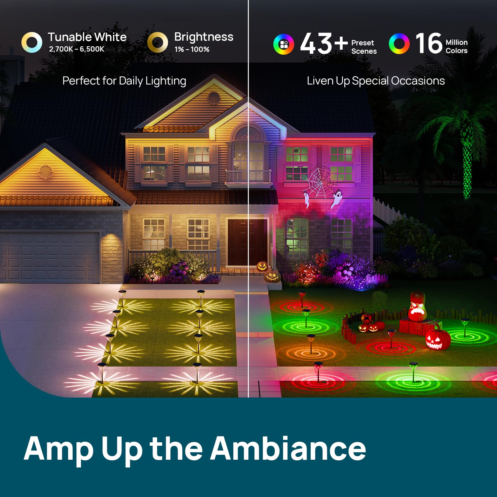 Smart Solar Pathway Lights SP6 App Pattern Control