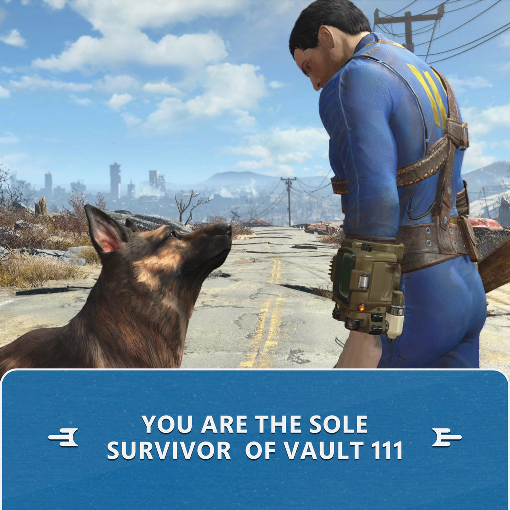 Fallout 4 Anniversary Edition Nintendo Switch Game