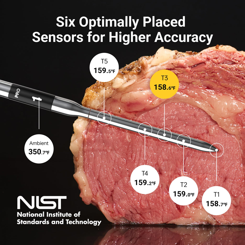 Simsiz Ağıllı Ət Termometri Sub-1G 6 Sensor NIST