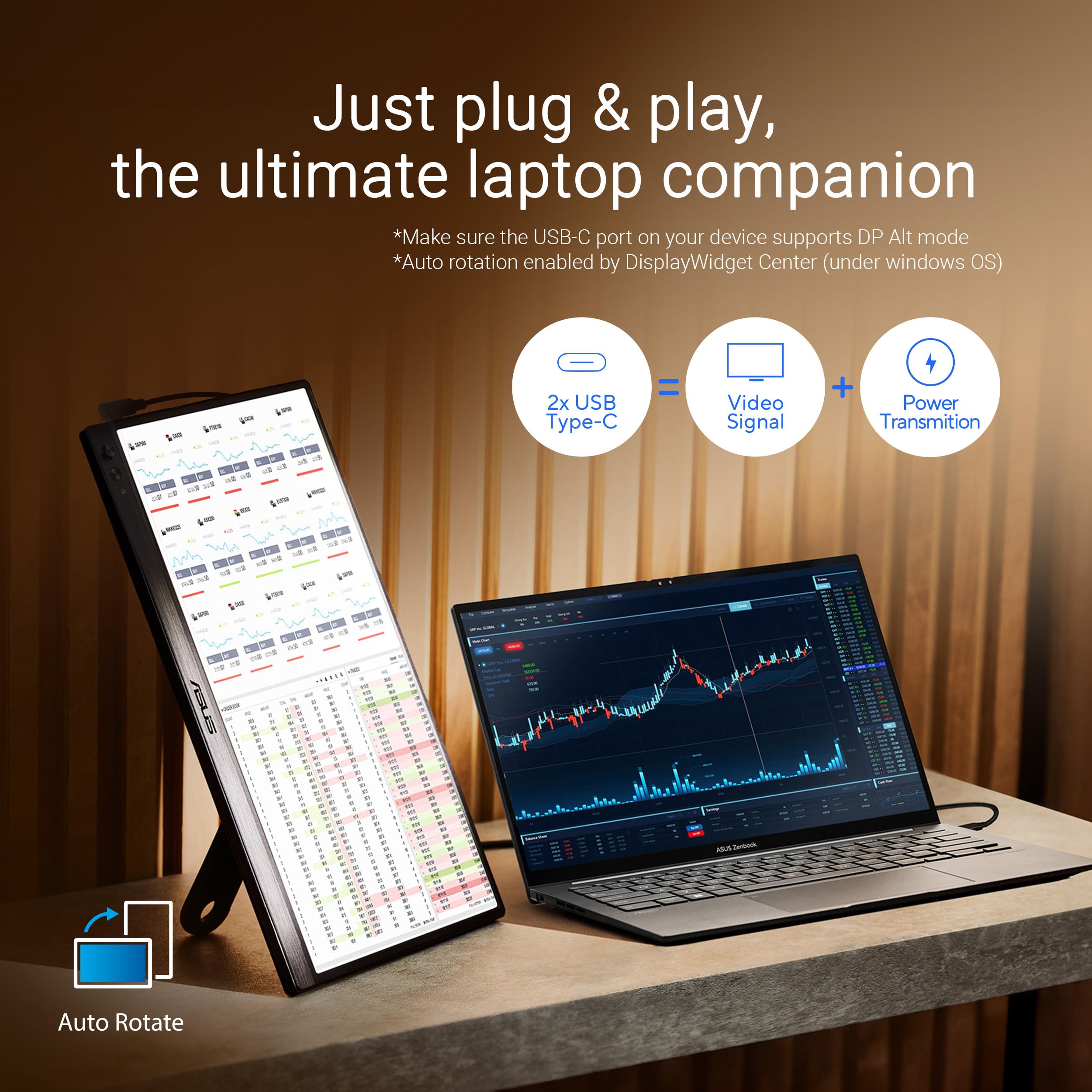 15.6" Full HD Portable USB Monitor MB169CK