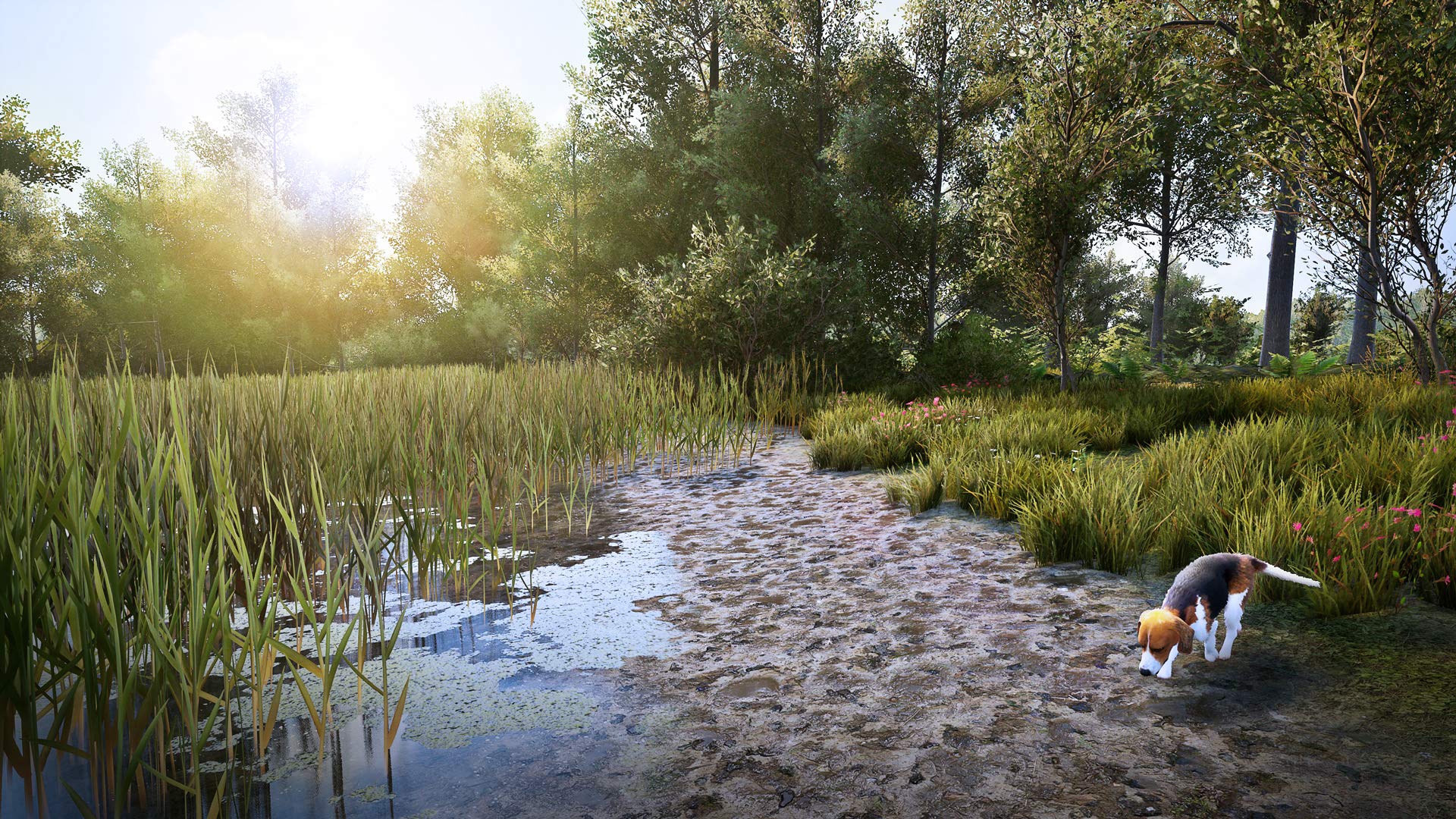 Hunting Simulator 2 for PlayStation 5
